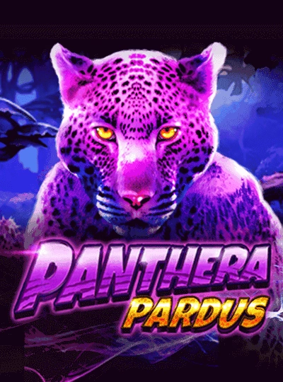 vs79 Spribe crash game cover at vs79 casino